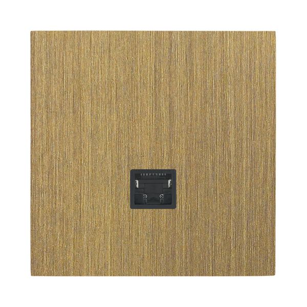 Art d'Arnould universe Epure RJ45 socket category 6 FTP - bronze image 1