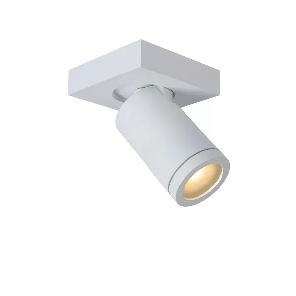 TAYLOR Ceiling Spotlight GU10/5W IP44 DTW  White image 1