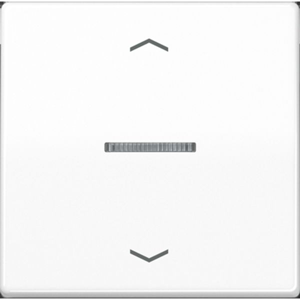 Centre plate for motor control inserts FMAS5232WW image 5