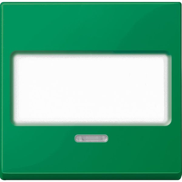 Rocker with label and control window, green, system M image 1