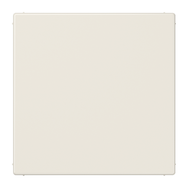 Blank plate LS961B image 2