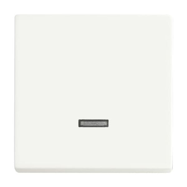 6545-884 CoverPlates (partly incl. Insert) future®, Busch-axcent®, carat® studio white matt image 4