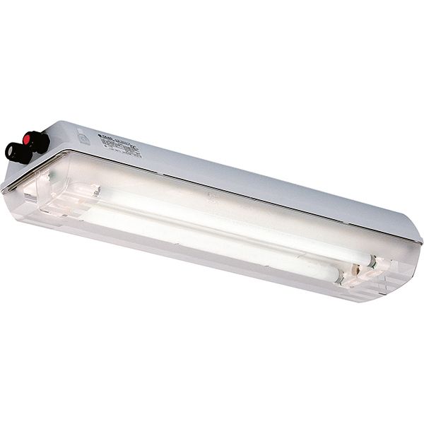 Ex-Linear light fitting with emergency light function for zone 1/21, Variant: eLLK 92018/18 V-CG-S 2/6-2K image 2