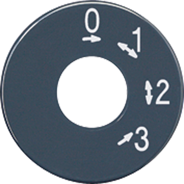 Spare scale disc SKS1101-4 image 1