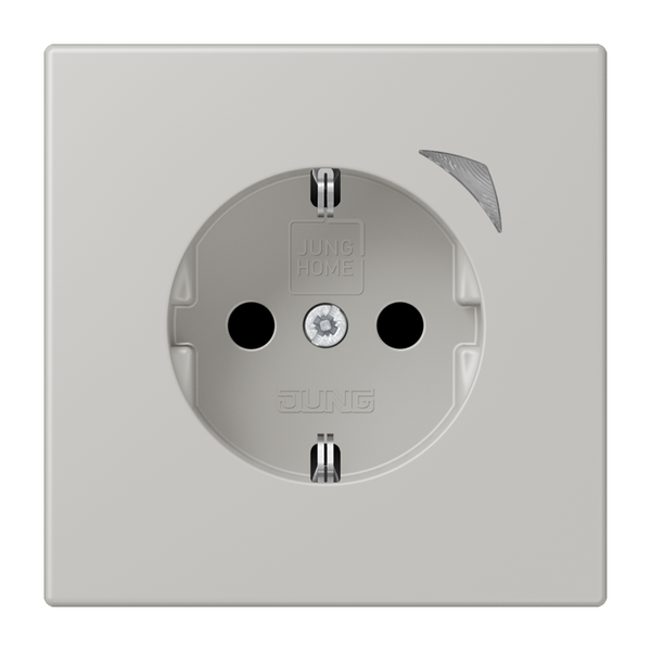 JUNG HOME SCHUKO socket BTLC1521S205 image 1