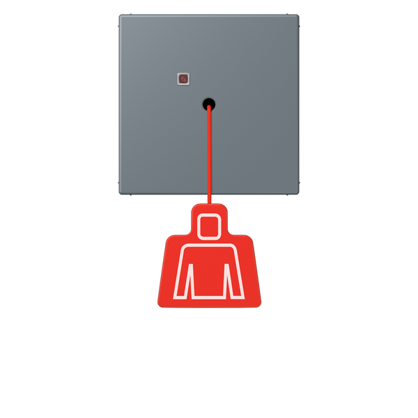 Pull cord push-button LC4320H NRSLC0834ZT251 image 1