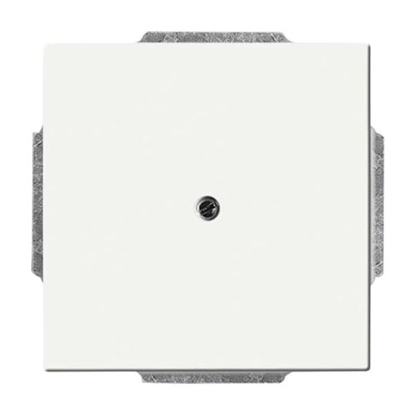 1745-884 CoverPlates (partly incl. Insert) future®, Busch-axcent®, carat® studio white matt image 4