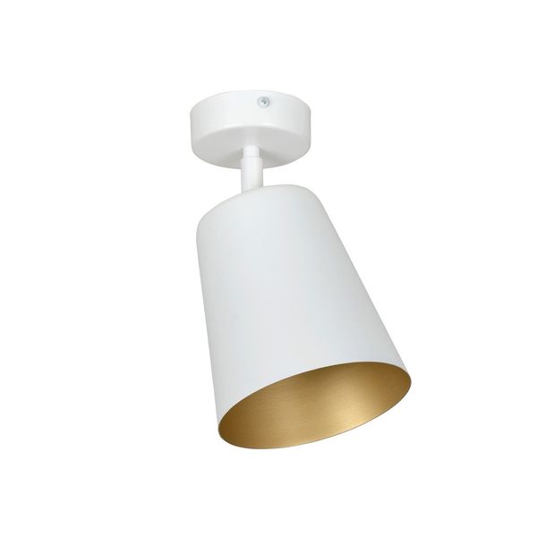 PRISM 1 WHITE / GOLD image 1