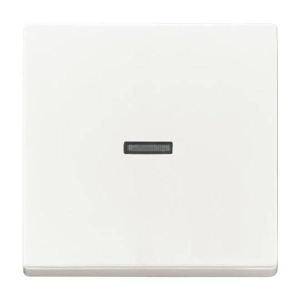 1789 N-84 CoverPlates (partly incl. Insert) future®, Busch-axcent®, solo®; carat® Studio white image 3
