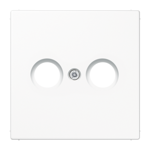 Centre plate f. TV/FM socket LS990TVWW image 2