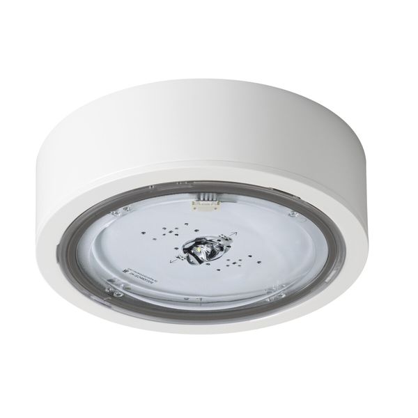 ITECH C1 302 M ST W   Nouzové svítidlo LED - Individuální objednávka image 1