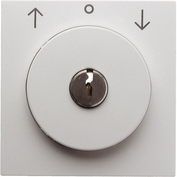 Centre plate lock + push lock func blind switch, key remov, S.1/B.3/B. image 1