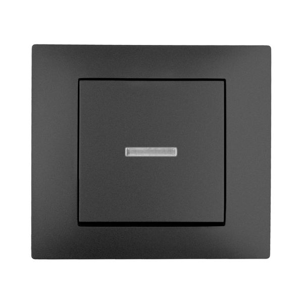 VESTRA TWO WAY SWITCH ILLUMINATED n/f image 2