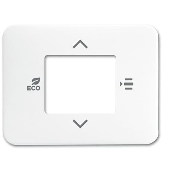 6109/03-24G Coverplate f. RTC image 1