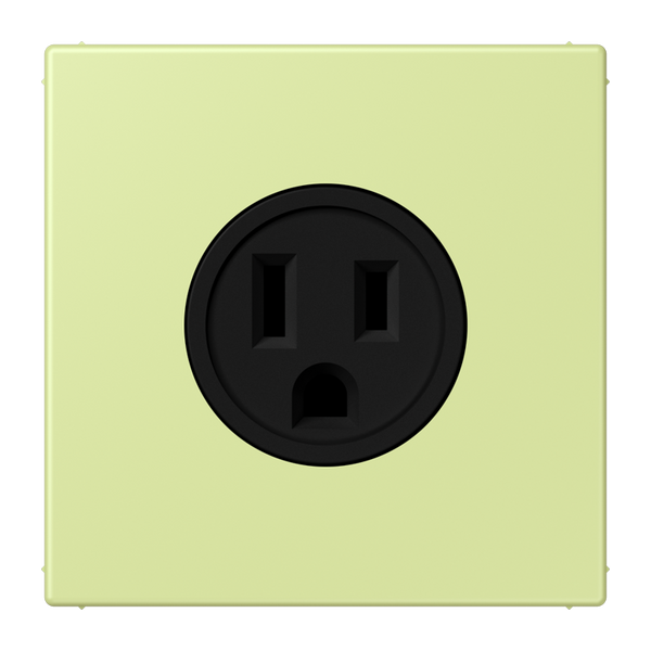 Socket US NEMA system LC32053 LC521-15222 image 1