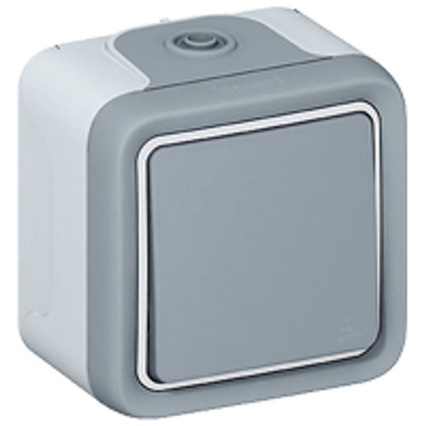 Push-button Plexo IP 55 - N/O contact - 10 A - surface mounting - grey image 1