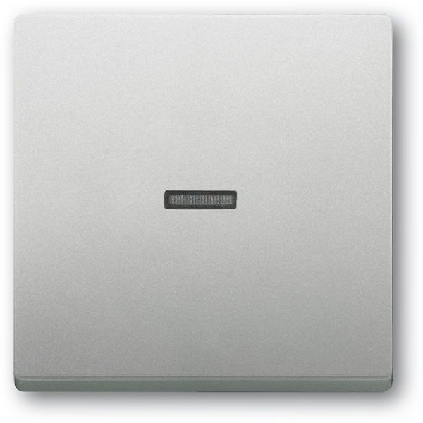 1789 N-866 CoverPlates (partly incl. Insert) pure stainless steel Stainless steel image 1