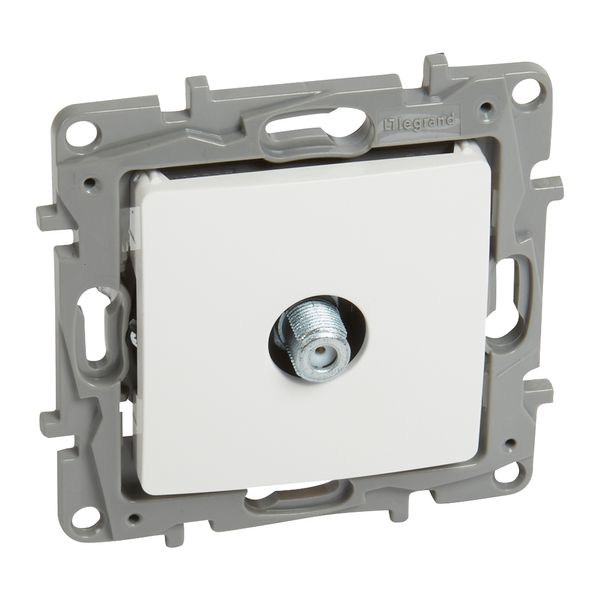 TV single star socket Niloé - "F" type - attenuation 1 dB - white image 1