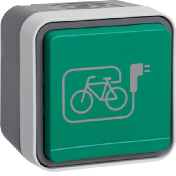 SCHUKO soc.out. green hinged cover+imprinted symb. e-bike, W.1, grey/  image 1