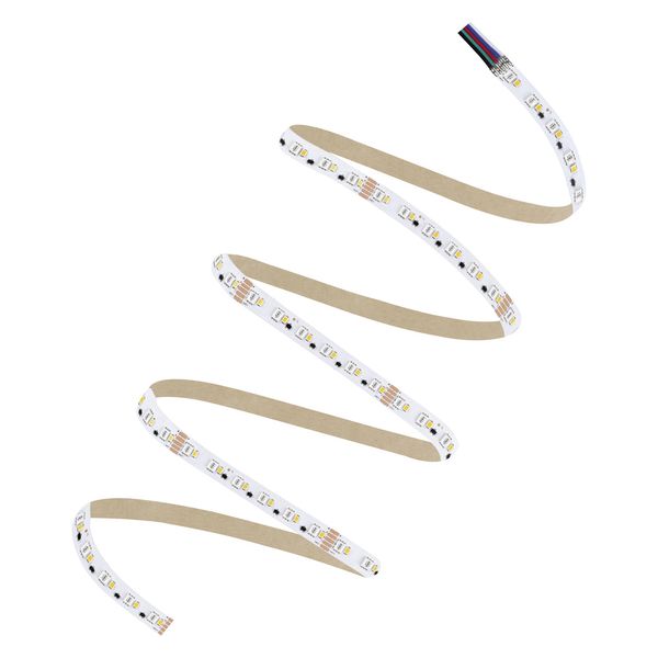 LED STRIP PERFORMANCE-1000 RGBW -1000/RGBW/827/5 image 4