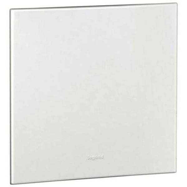 Arteor™ - US blanking cover plate - for 4'' x 4'' boxes - White image 1