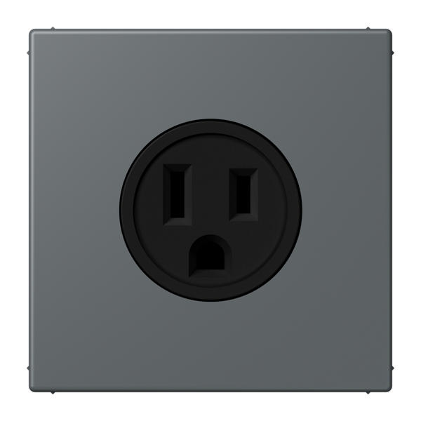 Socket US NEMA system LC32010 LC521-15202 image 1