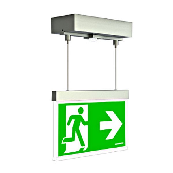 Emergency luminaire AM Duo stainless steel look image 1