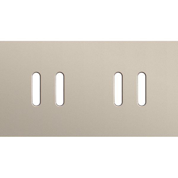 Twofold faceplate, horizontal 71 mm centre distance, for double switch image 1