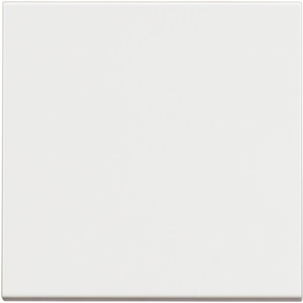 CLASSIA - pushbutton 1P NO 10A 2m white image 1