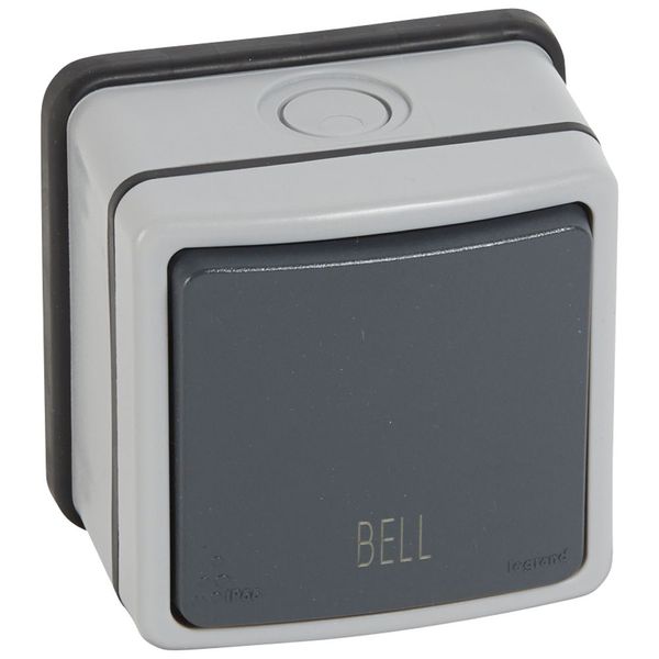 Push-button Plexo 66 - 1 gang - 2 way - with ''bell'' - 6 A - 250 V~ - grey image 1