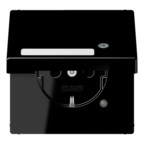 Schuko socket with hinged lid LS1520NAKLKOSW image 3