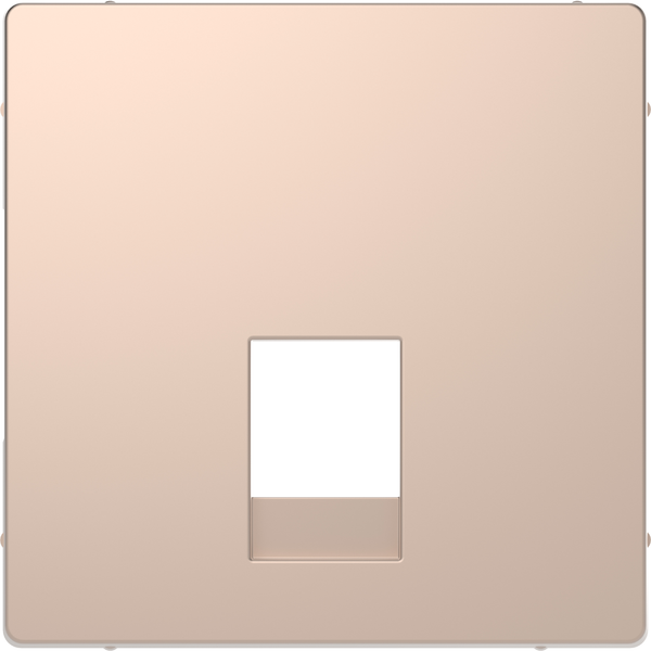 Central plate for RJ11 and RJ12 champagne, System Design image 4