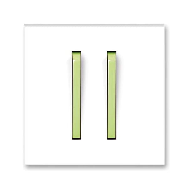 5583M-C02357 42 Double socket outlet with earthing pins, shuttered, with turned upper cavity, with surge protection image 8