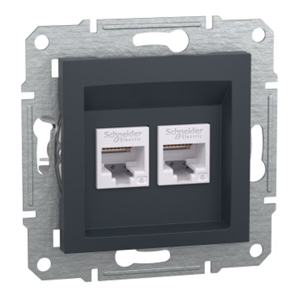 Asfora - double Data socket - RJ45 cat6 UTP, wo frame, anthracite image 2