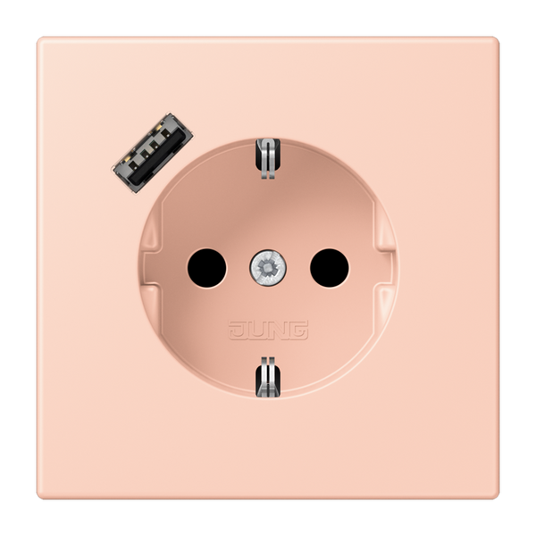 SCHUKO socket with USB charger LC32112 LC1520-18A234 image 1