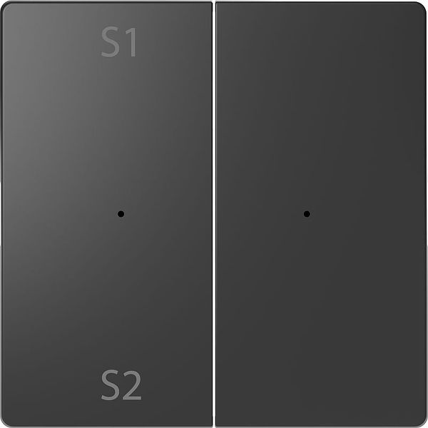 Rockers for button module 2-fold (Scene 1/2, blank), anthracite, system design image 1