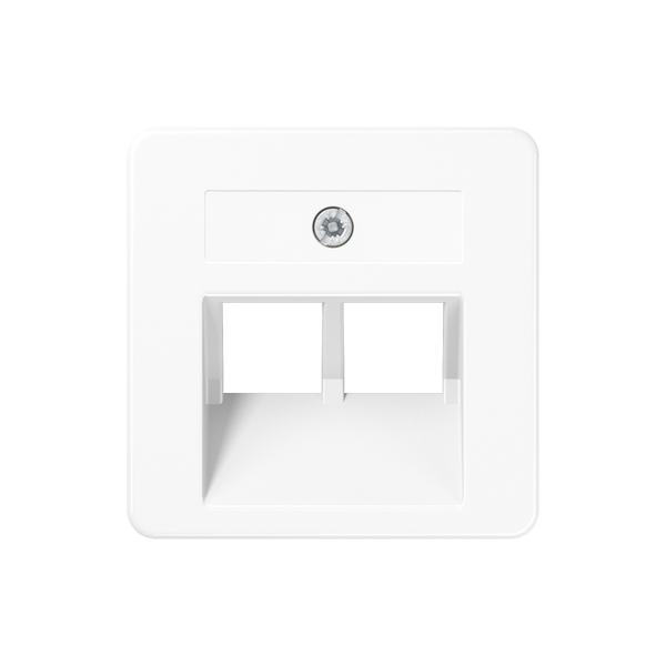 Centre plate for 2-gang modular jack 169-2UAEWW image 3