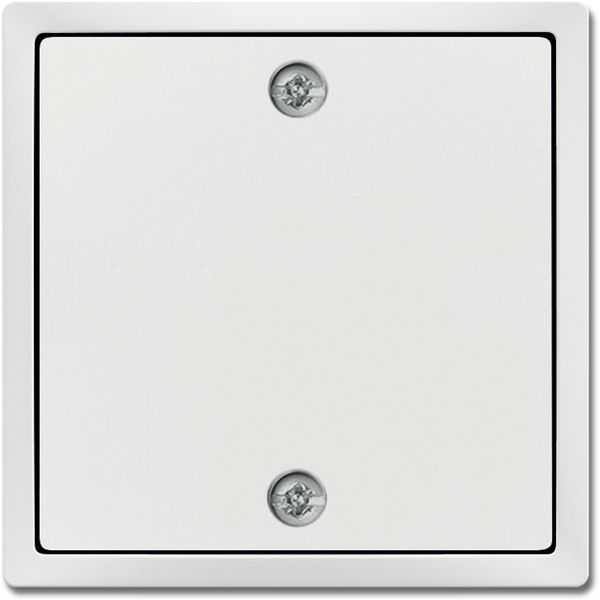 1796-884 CoverPlates (partly incl. Insert) future®, Busch-axcent®, carat® studio white matt image 1