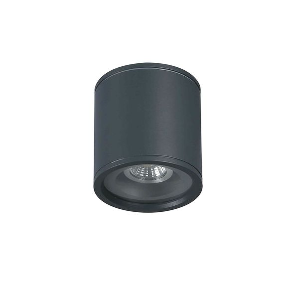 Ceiling Lamp Dark Grey Calista image 1