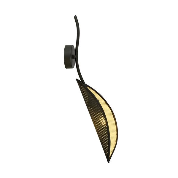 LOTUS K1 BLACK/GOLD image 1