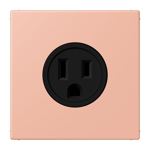 Socket US NEMA system LC32102 LC521-15231 image 1