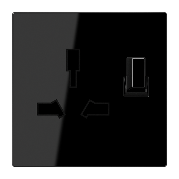 Combo switched socket insert LS4171GISWSW image 1