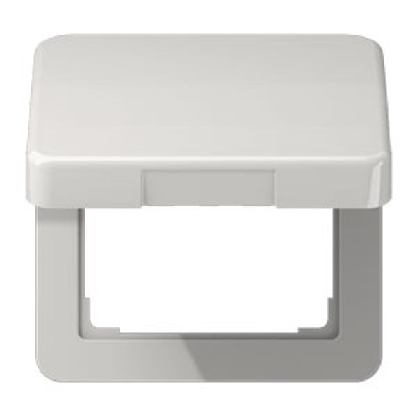 Centre plate with hinged lid CD590KLLG image 5