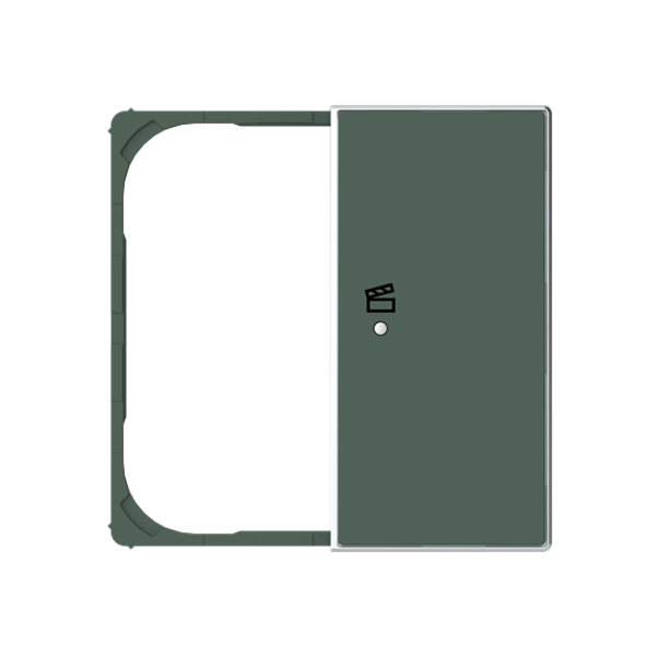 SRS-2-R-85CM Cover F@H SKY 2C.RI.Scene for Switch/push button Two-part button Green - Sky Niessen image 1