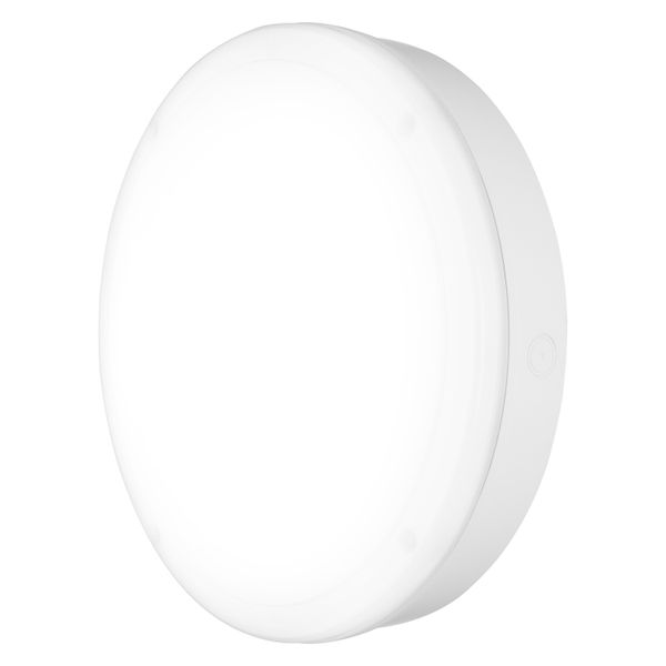 SURFACE BULKHEAD 300 EMERGENCY 15W 840 WT IP65 image 1