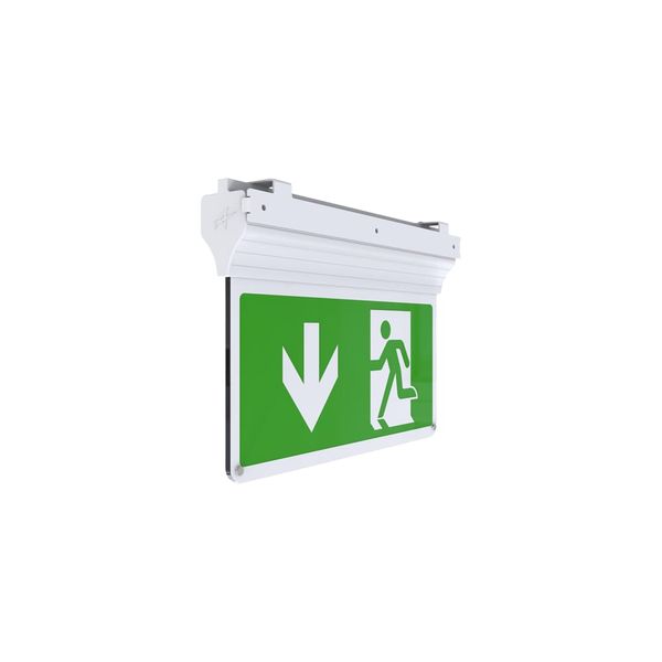 Eagle 3-In-1 Exit Sign Self-Test Maintained / Non-Maintained White image 1