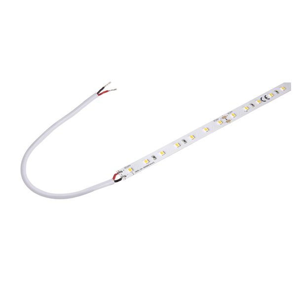 GRAZIA FLEXSTRIP LED 24V 10mm 5m 700lm/m 4000K image 1