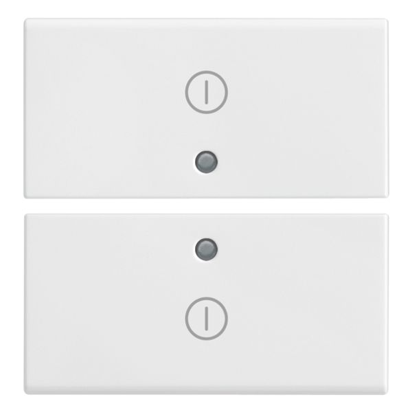 Two half-buttons 2M I/O symbols white image 1
