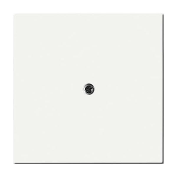 1746/10-884 CoverPlates (partly incl. Insert) future®, Busch-axcent®, carat® studio white matt image 6