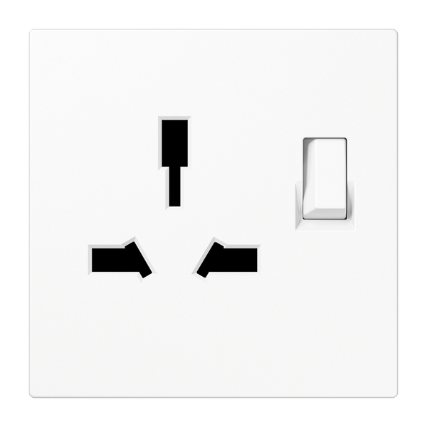 Combo switched socket insert LS4171GISWWW image 2